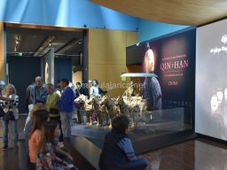 Exposición de los Guerreros de Xian 2023